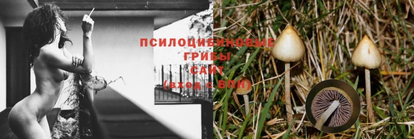 тгк Кинешма