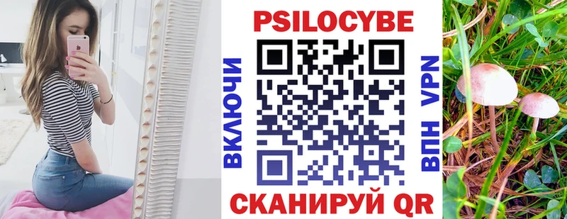 Галлюциногенные грибы прущие грибы  Купить закладки  Краснозаводск 